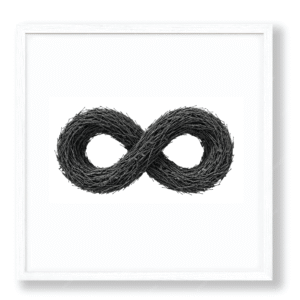 Andrés Camelo / Of the series  Chimeras 1