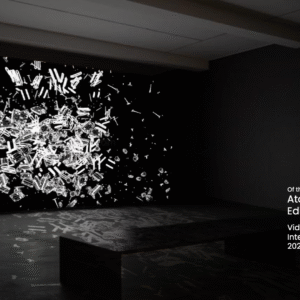 Andrés Camelo Visual Artist In atoms flying Video Art Ipad and Installation 2023
